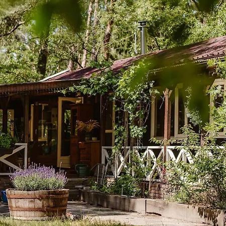 Forest Cottage With Lovely Garden & Sauna Doornspijk 외부 사진