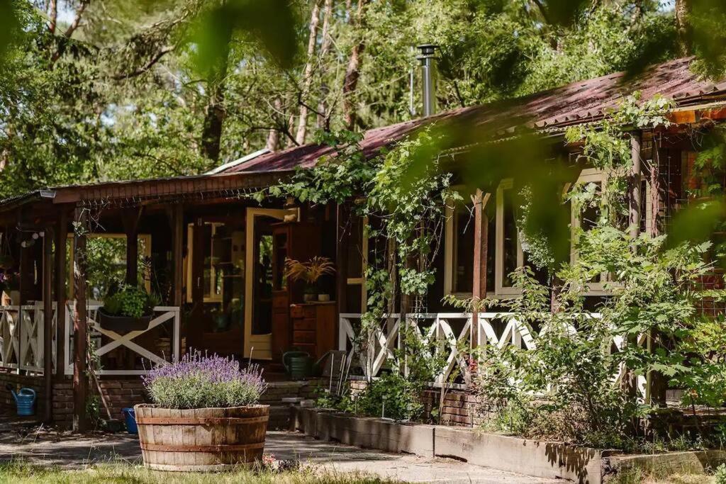 Forest Cottage With Lovely Garden & Sauna Doornspijk 외부 사진
