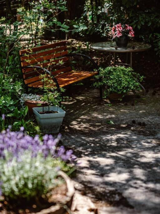 Forest Cottage With Lovely Garden & Sauna Doornspijk 외부 사진