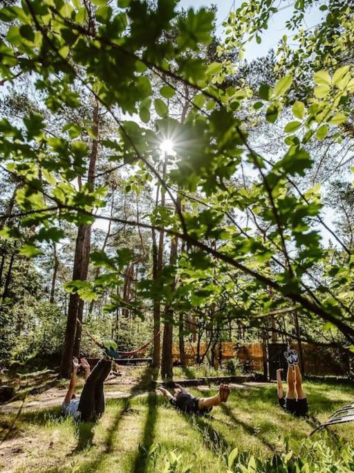 Forest Cottage With Lovely Garden & Sauna Doornspijk 외부 사진