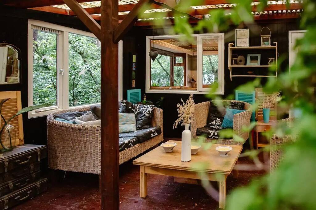 Forest Cottage With Lovely Garden & Sauna Doornspijk 외부 사진