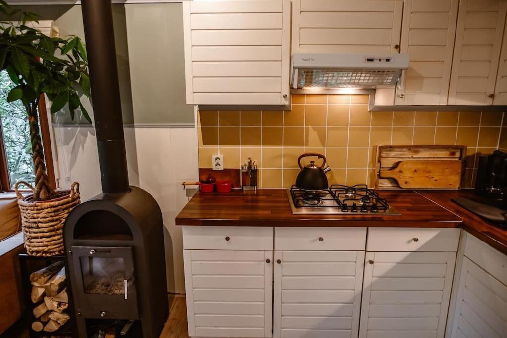 Forest Cottage With Lovely Garden & Sauna Doornspijk 외부 사진