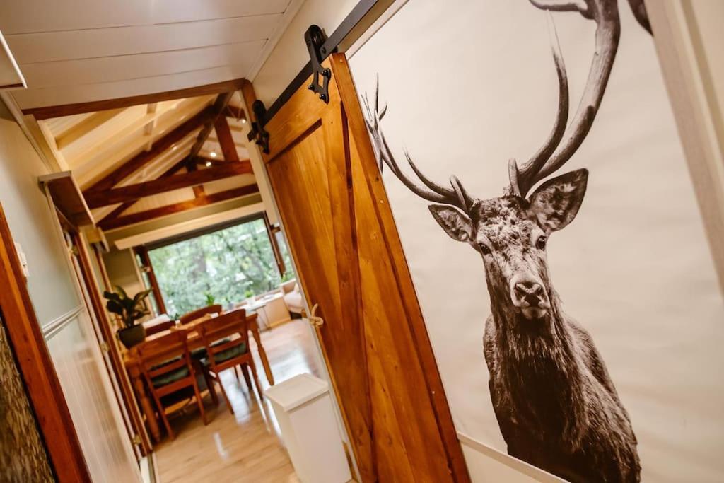 Forest Cottage With Lovely Garden & Sauna Doornspijk 외부 사진